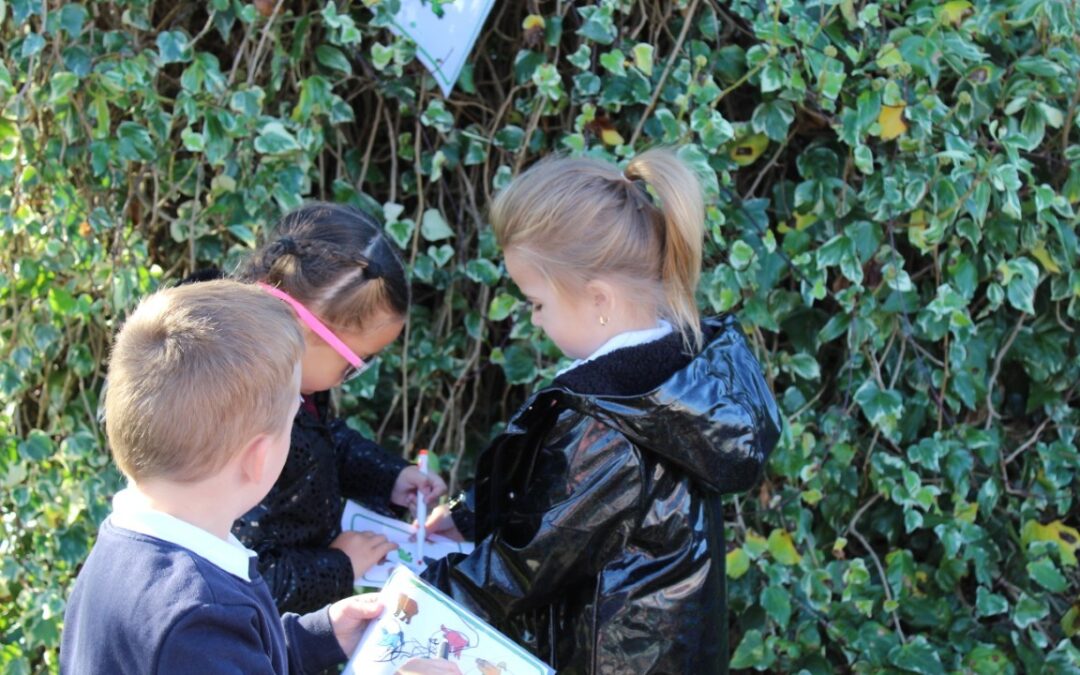 Ilminster Avenue Nursery School Enhances Outdoor Learning Spaces with New Biodiversity Grants