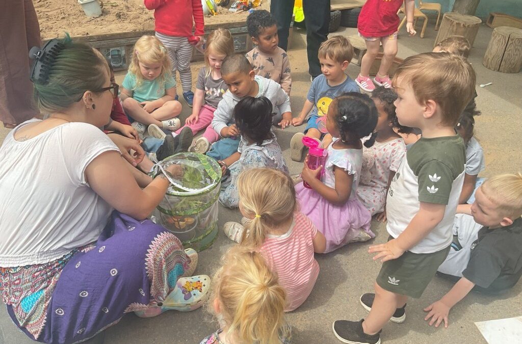 Amazing Transformations at Filton Avenue: Real Butterflies, New Little Acorns Classroom, and Historic Bristol Nursery Achievement