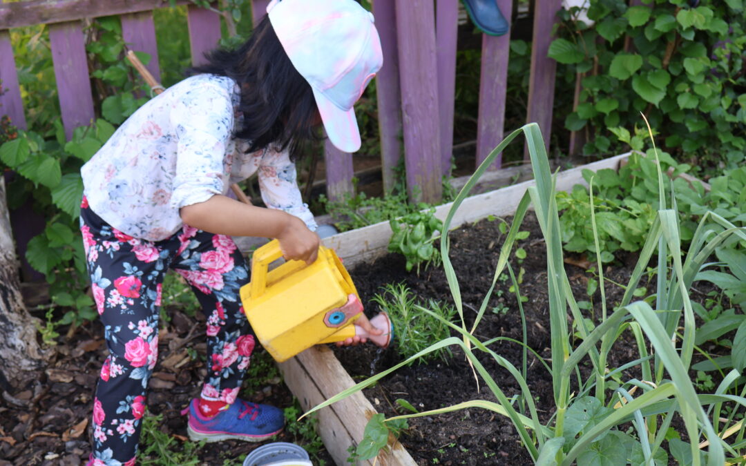 From Orange Peeling to Seed Planting: St Werburghs Park Nursery’s Hands-On Learning Adventures in Bristol Early Years Education