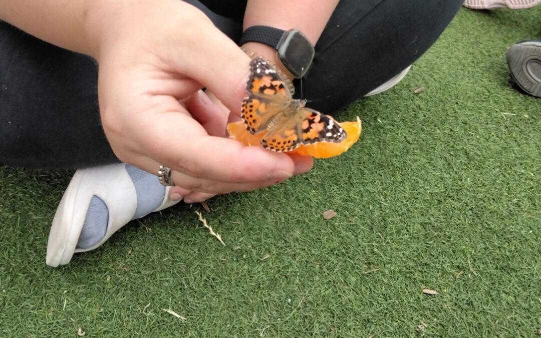 St Philips Marsh Nursery School Brings Learning to Life Through Nature and Storytelling