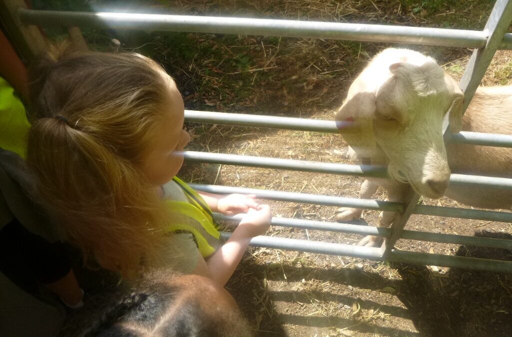 Cashmore Early Years Centre Enriches Learning Through Local Adventures