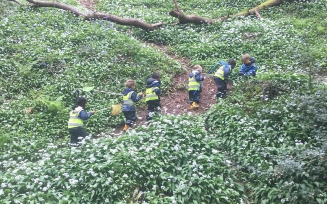 Exploring Paradise Pond: Redcliffe Nursery School’s Wild Woodland Adventure