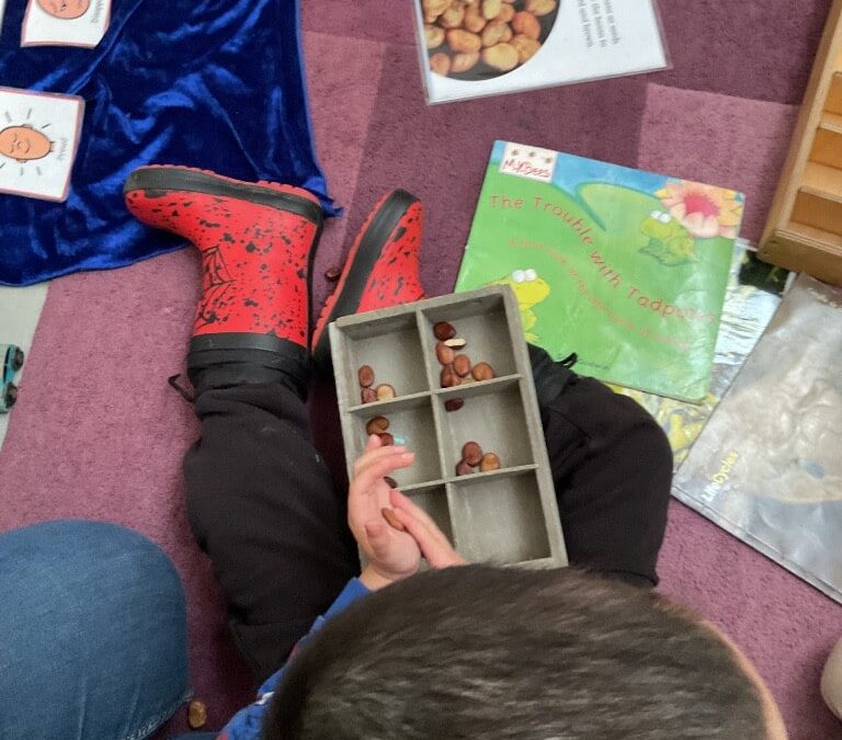 Growing Curiosity: Broad Bean Investigation at Hartcliffe Nursery School